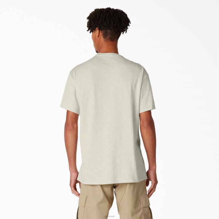 Heren Dickies skateboarden verontruste og grafische t-shirt havermout heide (oa) kleding 6F0X834