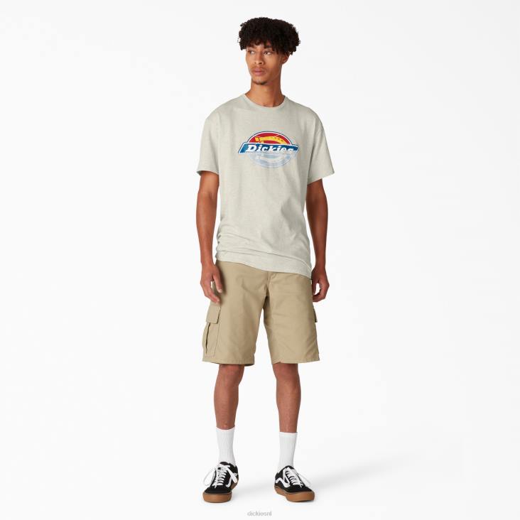 Heren Dickies skateboarden verontruste og grafische t-shirt havermout heide (oa) kleding 6F0X834