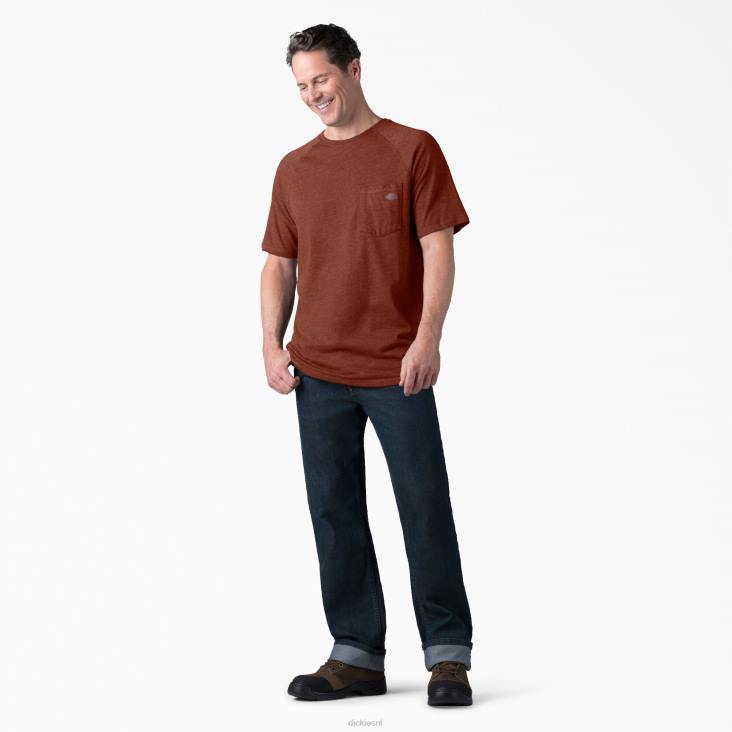 Heren Dickies verkoelend T-shirt met korte mouwen rode steenheide (roh) kleding 6F0X551