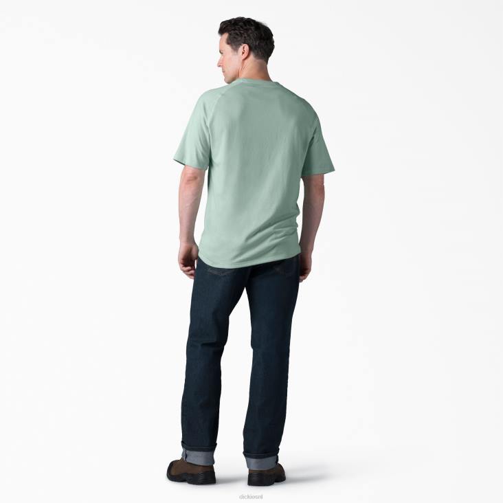 Heren Dickies verkoelend T-shirt met korte mouwen surfspray (sp1) kleding 6F0X553