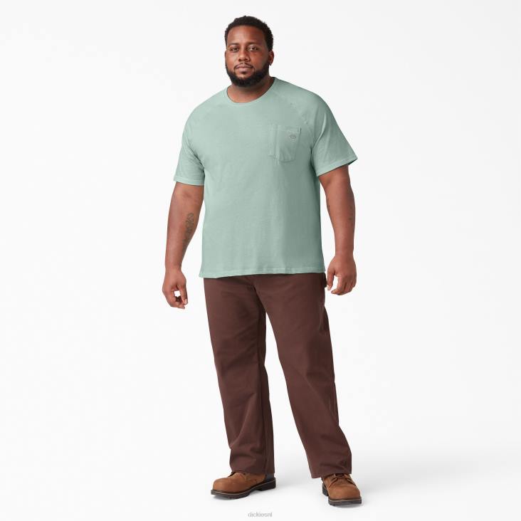 Heren Dickies verkoelend T-shirt met korte mouwen surfspray (sp1) kleding 6F0X553