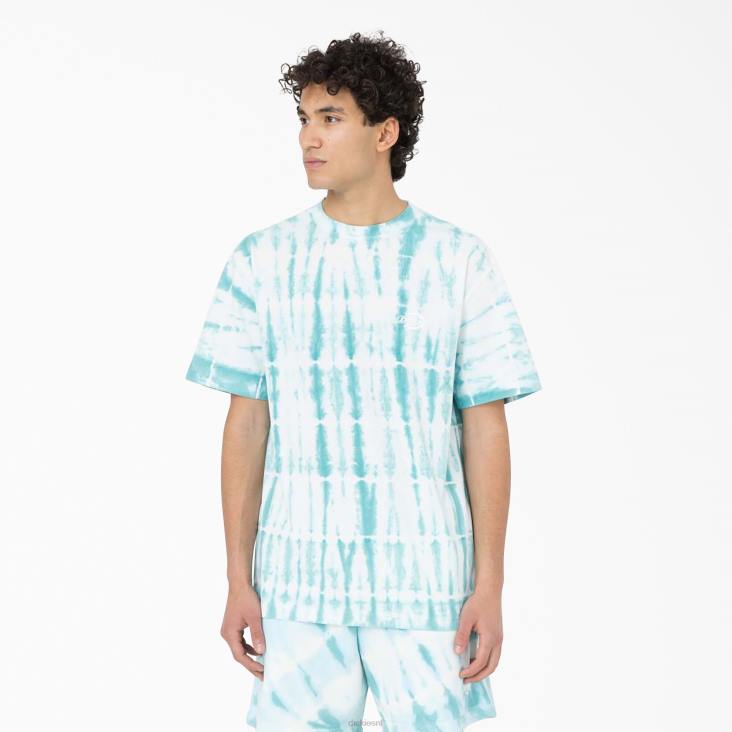 Heren Dickies westfir T-shirt met korte mouwen hemelsblauw (su9) kleding 6F0X590