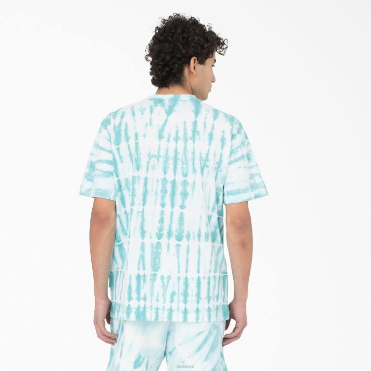 Heren Dickies westfir T-shirt met korte mouwen hemelsblauw (su9) kleding 6F0X590