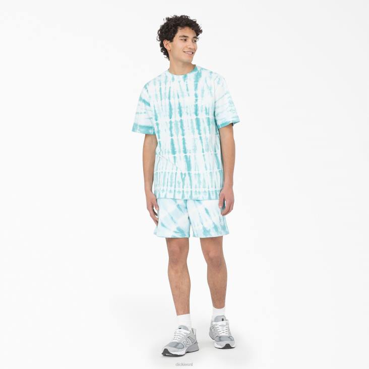 Heren Dickies westfir T-shirt met korte mouwen hemelsblauw (su9) kleding 6F0X590