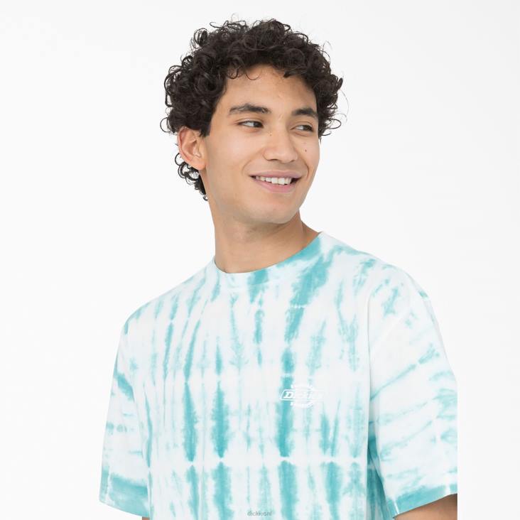 Heren Dickies westfir T-shirt met korte mouwen hemelsblauw (su9) kleding 6F0X590