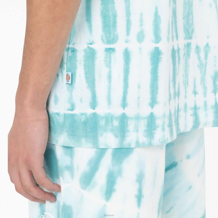 Heren Dickies westfir T-shirt met korte mouwen hemelsblauw (su9) kleding 6F0X590