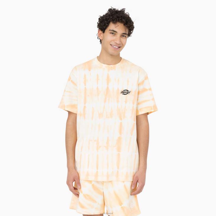 Heren Dickies westfir T-shirt met korte mouwen impala (ma2) kleding 6F0X589