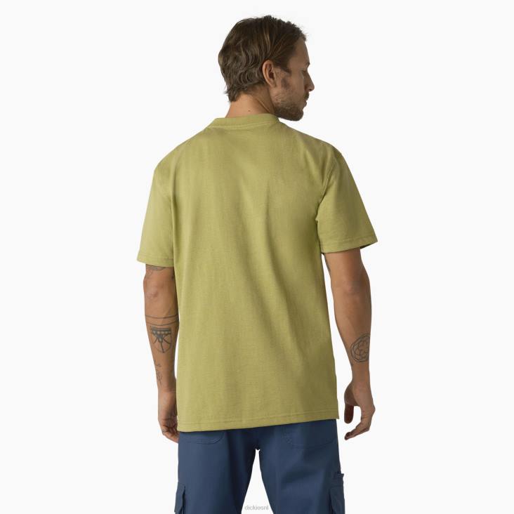 Heren Dickies zwaar gemêleerd T-shirt met korte mouwen varenheide (f2h) kleding 6F0X530
