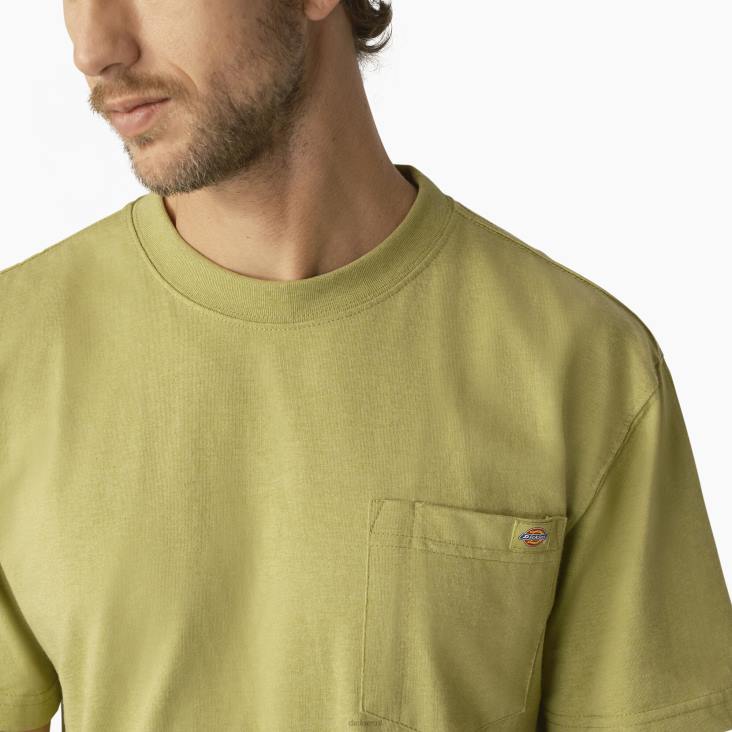 Heren Dickies zwaar gemêleerd T-shirt met korte mouwen varenheide (f2h) kleding 6F0X530