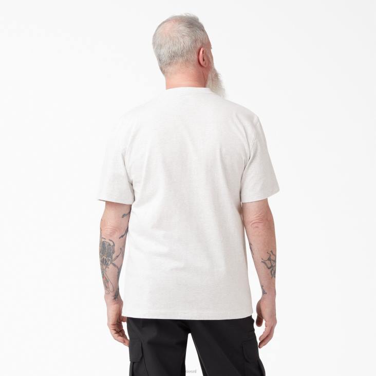 Heren Dickies zwaargewicht T-shirt met korte mouwen asgrijs (ag) kleding 6F0X504