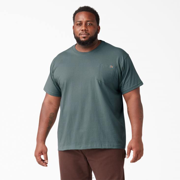 Heren Dickies zwaargewicht T-shirt met korte mouwen rookblauw (bm) kleding 6F0X507