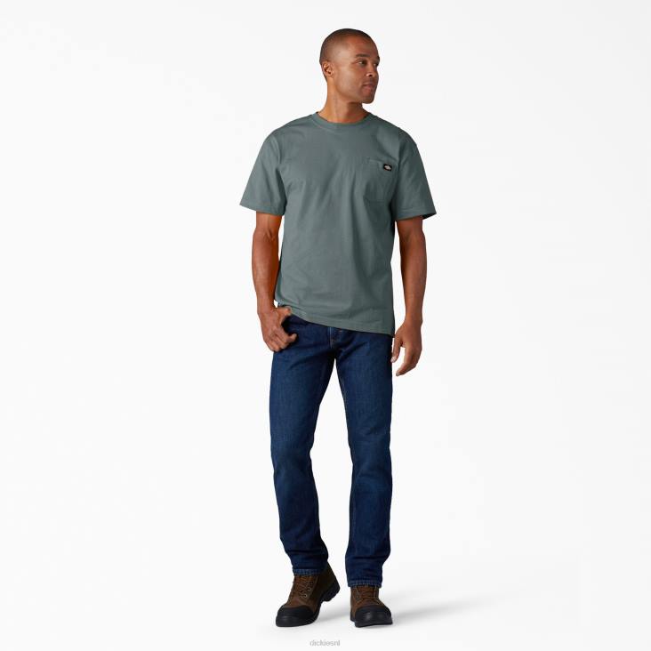 Heren Dickies zwaargewicht T-shirt met korte mouwen rookblauw (bm) kleding 6F0X507