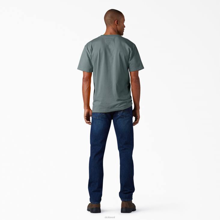 Heren Dickies zwaargewicht T-shirt met korte mouwen rookblauw (bm) kleding 6F0X507