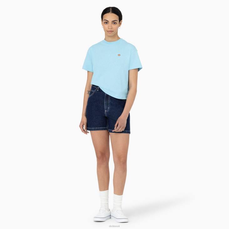 vrouwen Dickies Oakport cropped T-shirt hemelsblauw (su9) kleding 6F0X2044