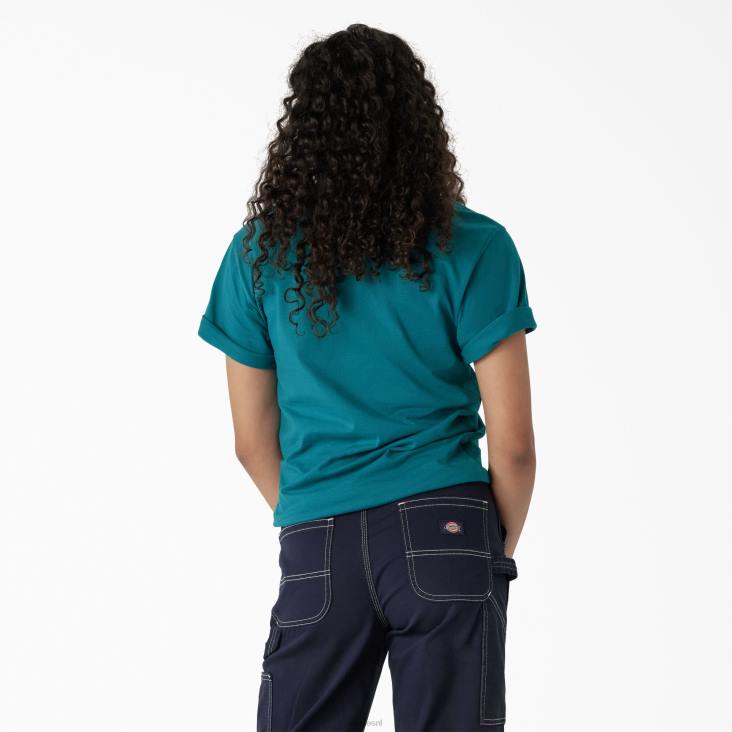 vrouwen Dickies T-shirt met grafische band diep meer (dl2) kleding 6F0X2211