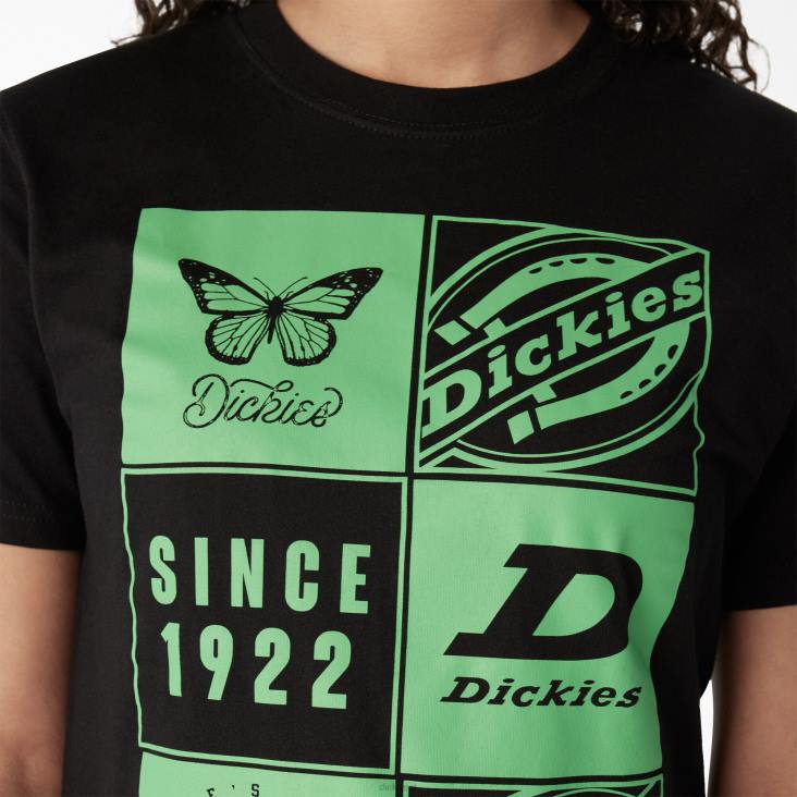 vrouwen Dickies T-shirt met grafische band zwart (kbk) kleding 6F0X2212