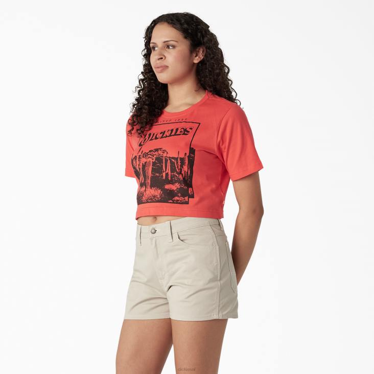 vrouwen Dickies bijgesneden t-shirt met woestijnafbeelding bitterzoet (bw2) kleding 6F0X2131