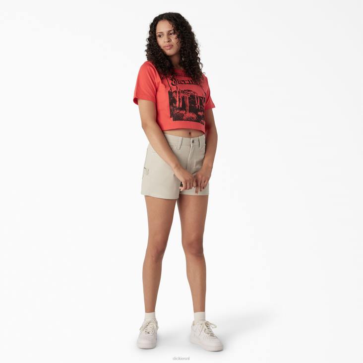 vrouwen Dickies bijgesneden t-shirt met woestijnafbeelding bitterzoet (bw2) kleding 6F0X2131