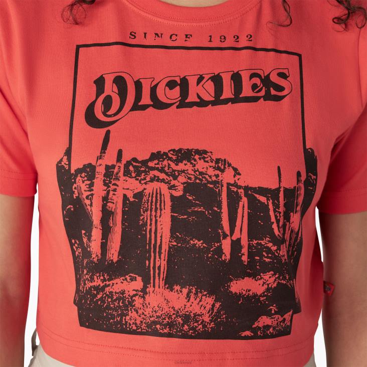 vrouwen Dickies bijgesneden t-shirt met woestijnafbeelding bitterzoet (bw2) kleding 6F0X2131