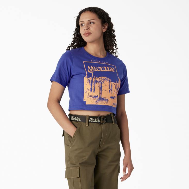vrouwen Dickies bijgesneden t-shirt met woestijnafbeelding satijnen hemel (sk2) kleding 6F0X2133