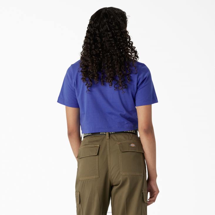 vrouwen Dickies bijgesneden t-shirt met woestijnafbeelding satijnen hemel (sk2) kleding 6F0X2133