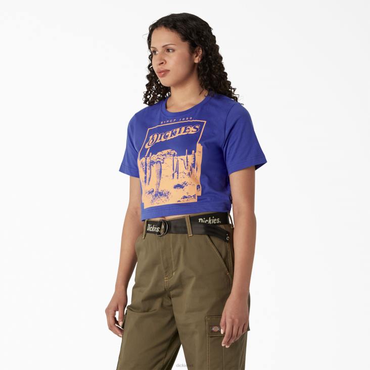 vrouwen Dickies bijgesneden t-shirt met woestijnafbeelding satijnen hemel (sk2) kleding 6F0X2133