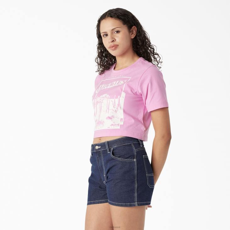 vrouwen Dickies bijgesneden t-shirt met woestijnafbeelding wilde roos (wr2) kleding 6F0X2134