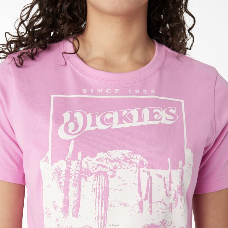 vrouwen Dickies bijgesneden t-shirt met woestijnafbeelding wilde roos (wr2) kleding 6F0X2134