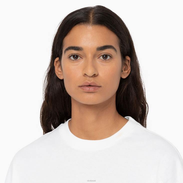 vrouwen Dickies creswell grafisch T-shirt wit (wh) kleding 6F0X2153