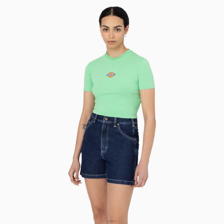 vrouwen Dickies cropped t-shirt met maple valley-logo appelmunt (ar2) kleding 6F0X2094
