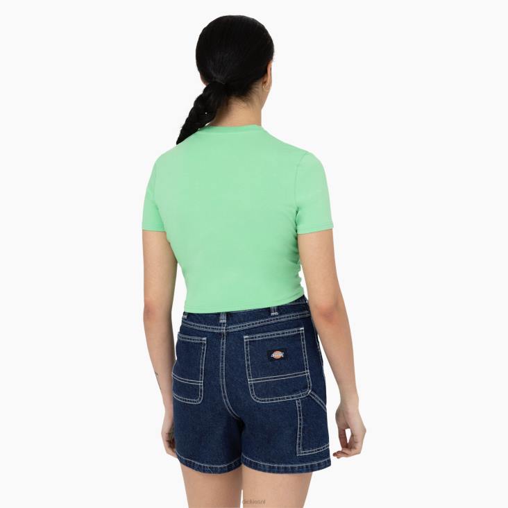 vrouwen Dickies cropped t-shirt met maple valley-logo appelmunt (ar2) kleding 6F0X2094