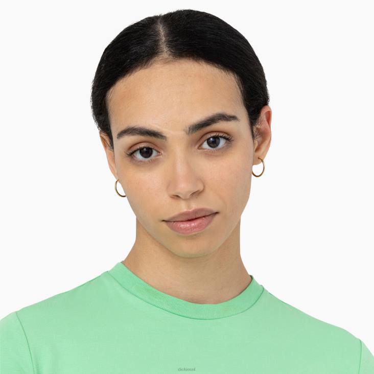 vrouwen Dickies cropped t-shirt met maple valley-logo appelmunt (ar2) kleding 6F0X2094