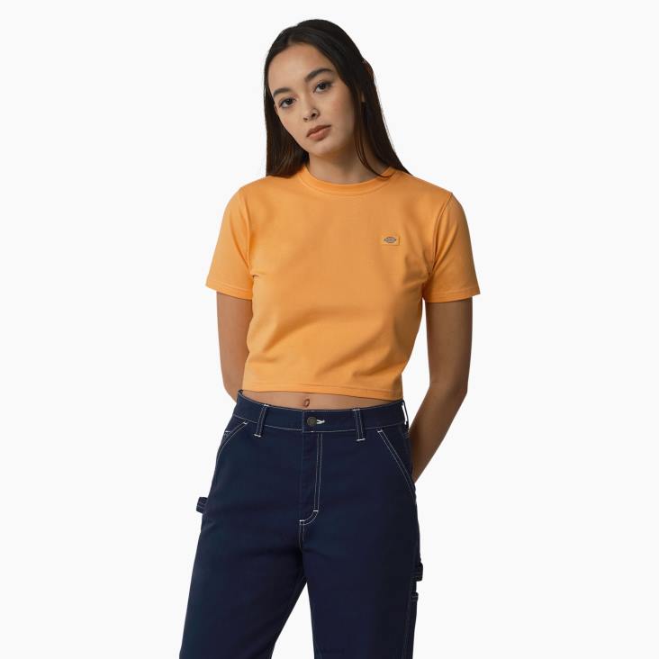 vrouwen Dickies cropped t-shirt van maple valley papaya/cloud stitching (ycs) kleding 6F0X2011