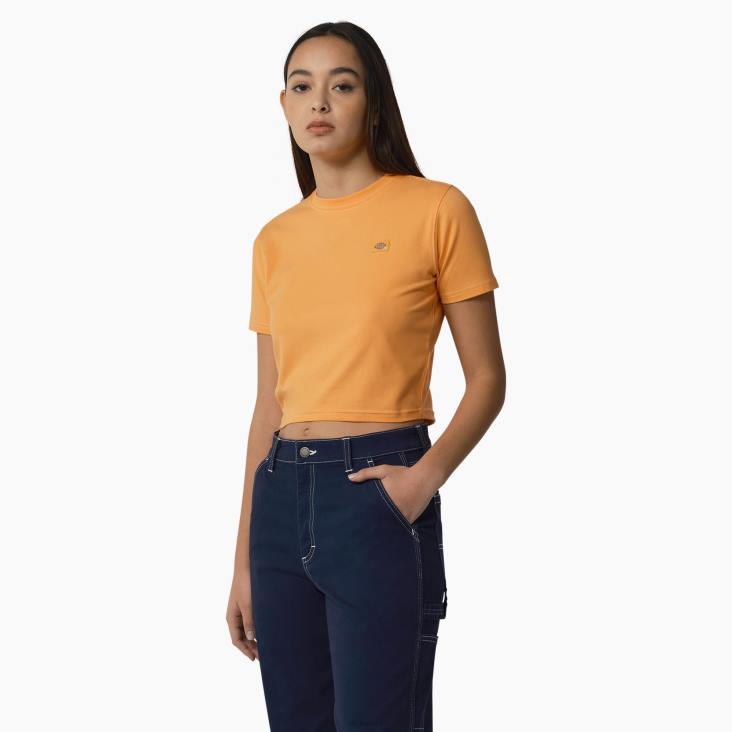 vrouwen Dickies cropped t-shirt van maple valley papaya/cloud stitching (ycs) kleding 6F0X2011