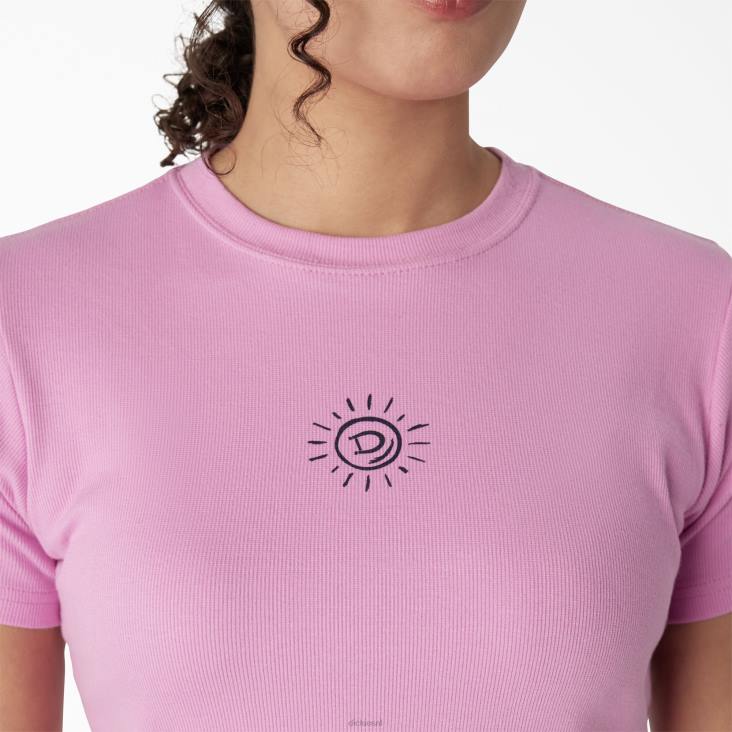 vrouwen Dickies geborduurd cropped baby t-shirt wilde roos (wr2) kleding 6F0X2196