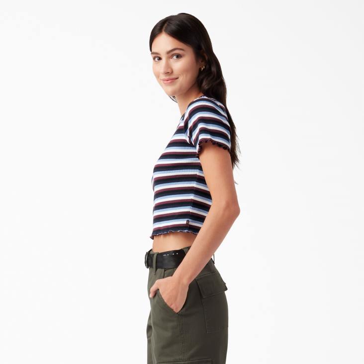 vrouwen Dickies gestreept cropped baby t-shirt wijn/jacaranda baby streep (wsj) kleding 6F0X2080