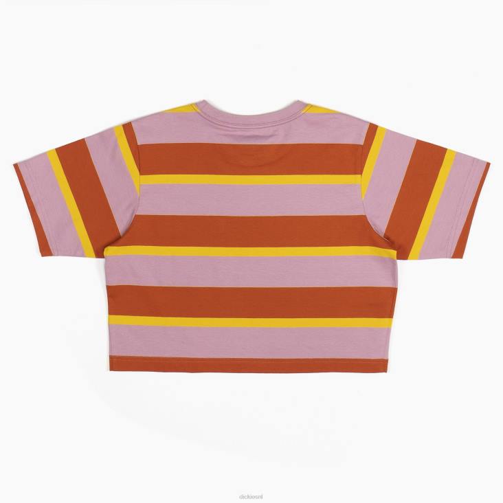 vrouwen Dickies gestreept cropped t-shirt ginger fox collegiale streep (xsr) kleding 6F0X2017