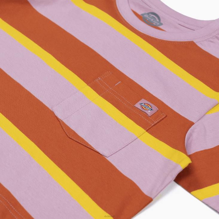 vrouwen Dickies gestreept cropped t-shirt ginger fox collegiale streep (xsr) kleding 6F0X2017