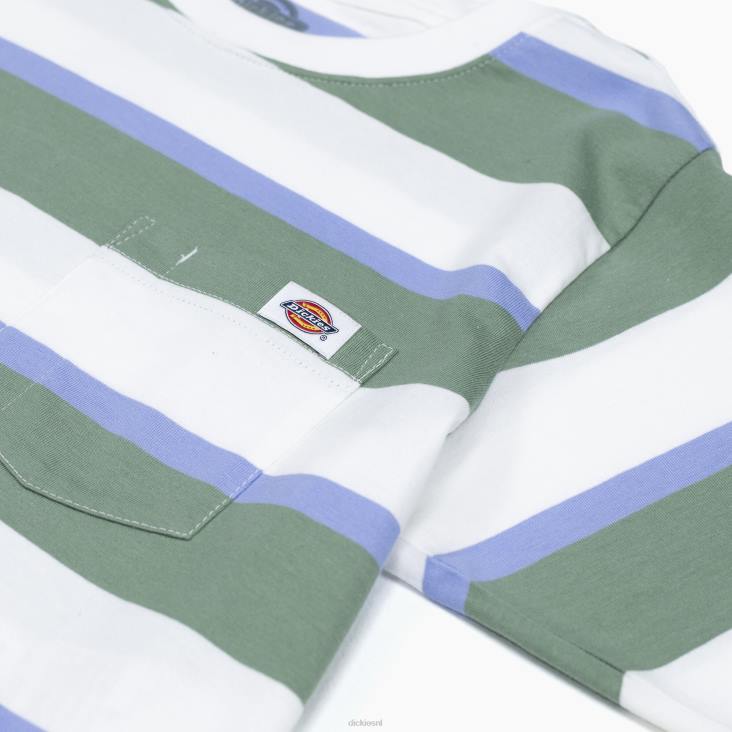 vrouwen Dickies gestreept cropped t-shirt wit/groene collegiale streep (wse) kleding 6F0X2015
