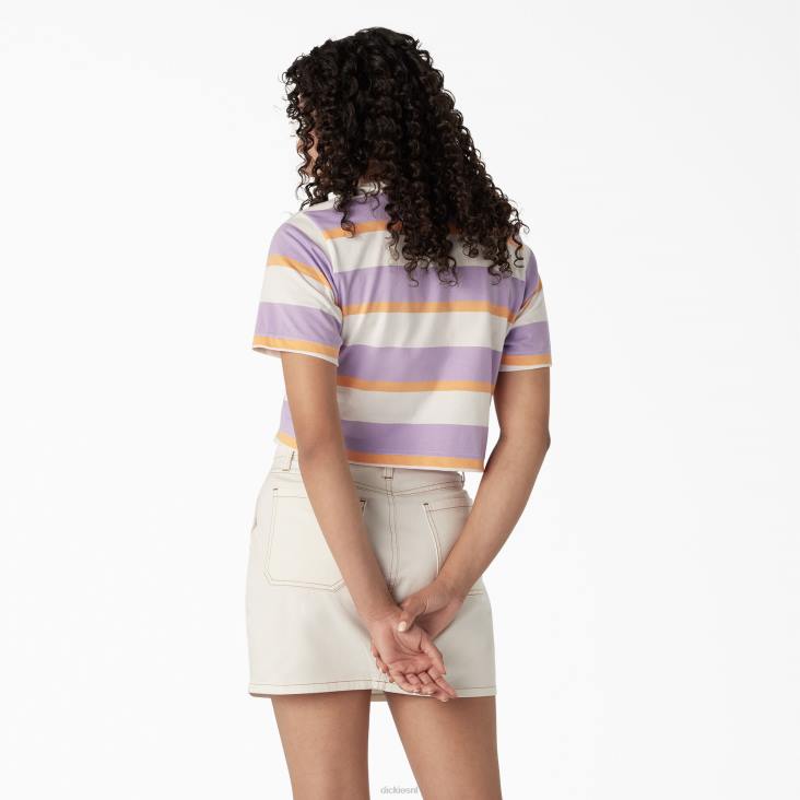 vrouwen Dickies gestreept cropped t-shirt wit/paarse collegiale streep (wps) kleding 6F0X2014