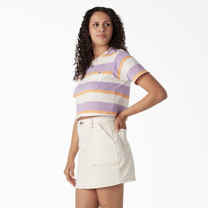 vrouwen Dickies gestreept cropped t-shirt wit/paarse collegiale streep (wps) kleding 6F0X2014