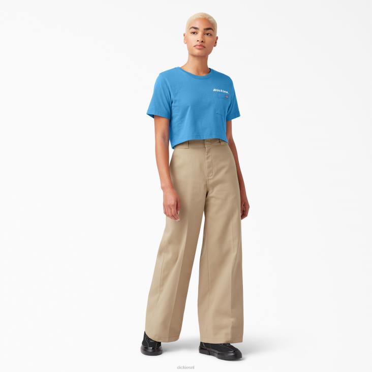 vrouwen Dickies grafisch bijgesneden T-shirt helder kobalt (b2t) kleding 6F0X2148