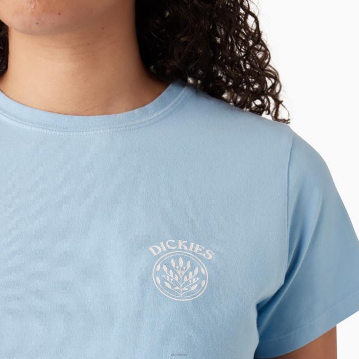 vrouwen Dickies ombre cropped t-shirt hemelsblauw/inkt marine dip dye (skd) kleding 6F0X2183