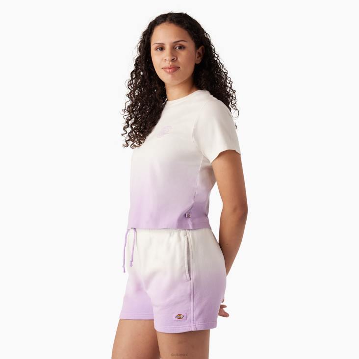 vrouwen Dickies ombre cropped t-shirt wolk/paars roze dip dye (cud) kleding 6F0X2182