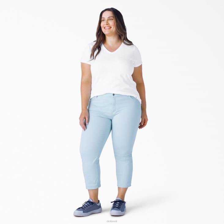 vrouwen Dickies plus T-shirt met korte mouwen en v-hals wit (wh) kleding 6F0X2042