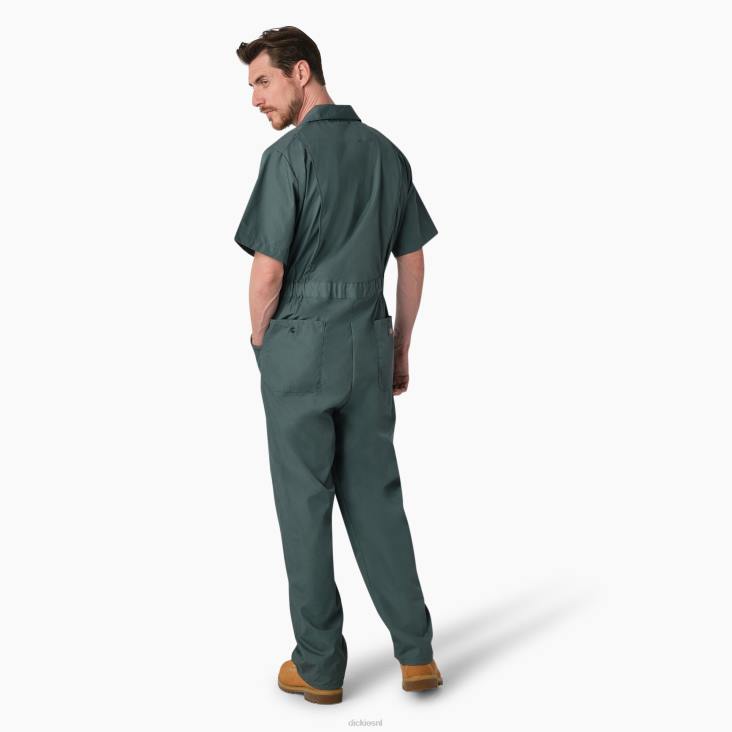Heren Dickies overalls met korte mouwen kort werk kleding 6F0X327