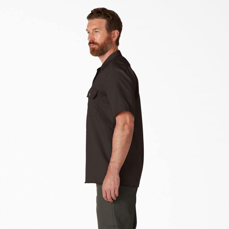 Heren Dickies werkhemd met korte mouwen donkerbruin (db) werk kleding 6F0X488