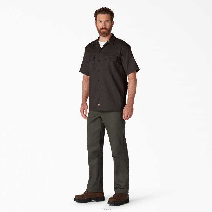 Heren Dickies werkhemd met korte mouwen donkerbruin (db) werk kleding 6F0X488