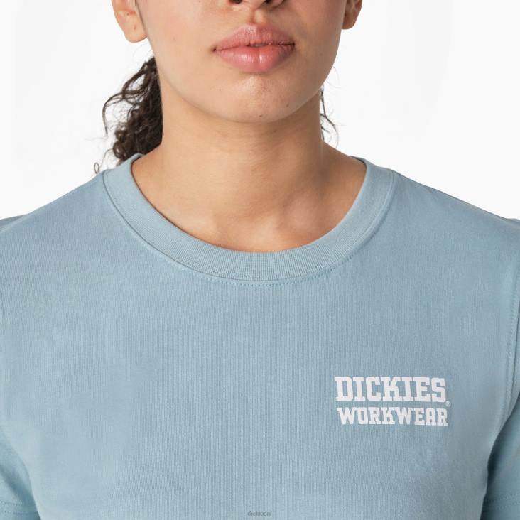 vrouwen Dickies zwaargewicht werkkleding grafisch t-shirt kade blauw (du1) werk kleding 6F0X2115